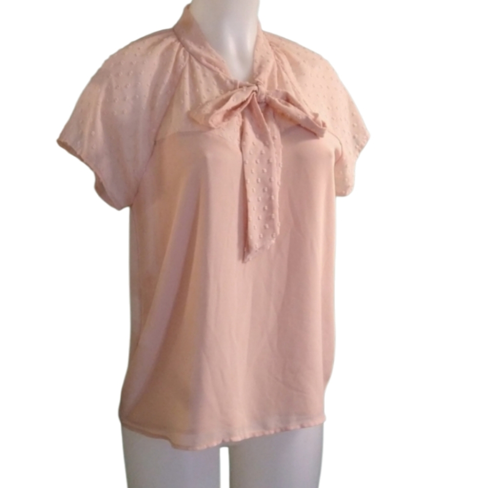 Blush sheer polka dotted tie up blouse